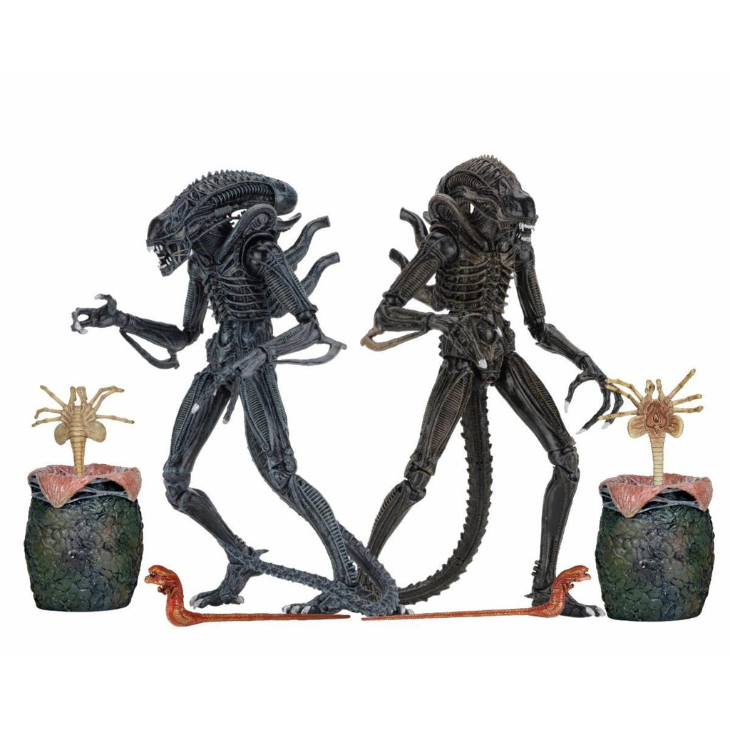 Aliens Ultimate Aliens Warrior (1986) Brown 7-Inch Scale Action Figure