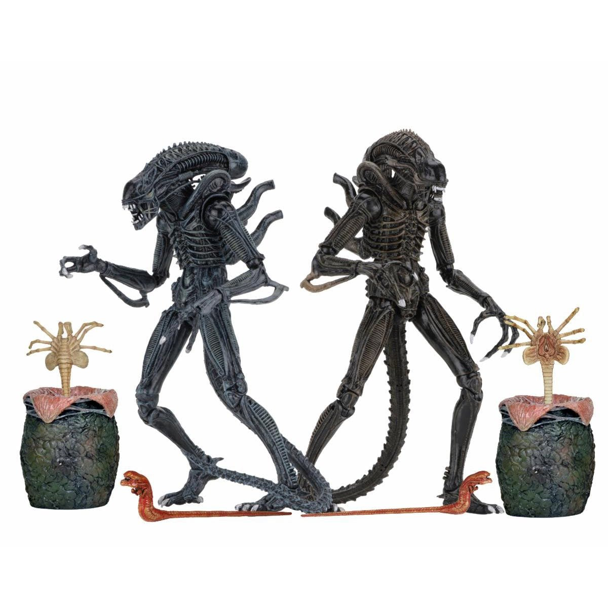 Aliens Ultimate Aliens Warrior (1986) Brown 7-Inch Scale Action Figure