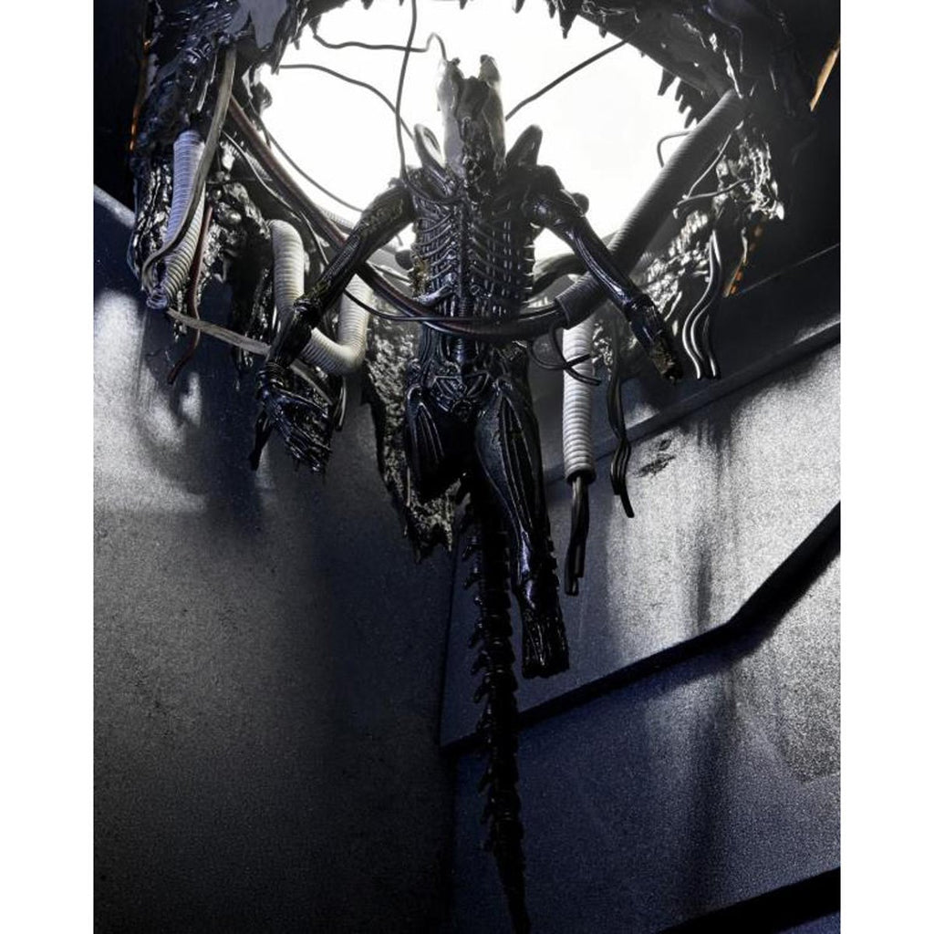 Alien: Romulus Suspended Lab Xenomorph XX121 7-Inch Scale Deluxe Action Figure