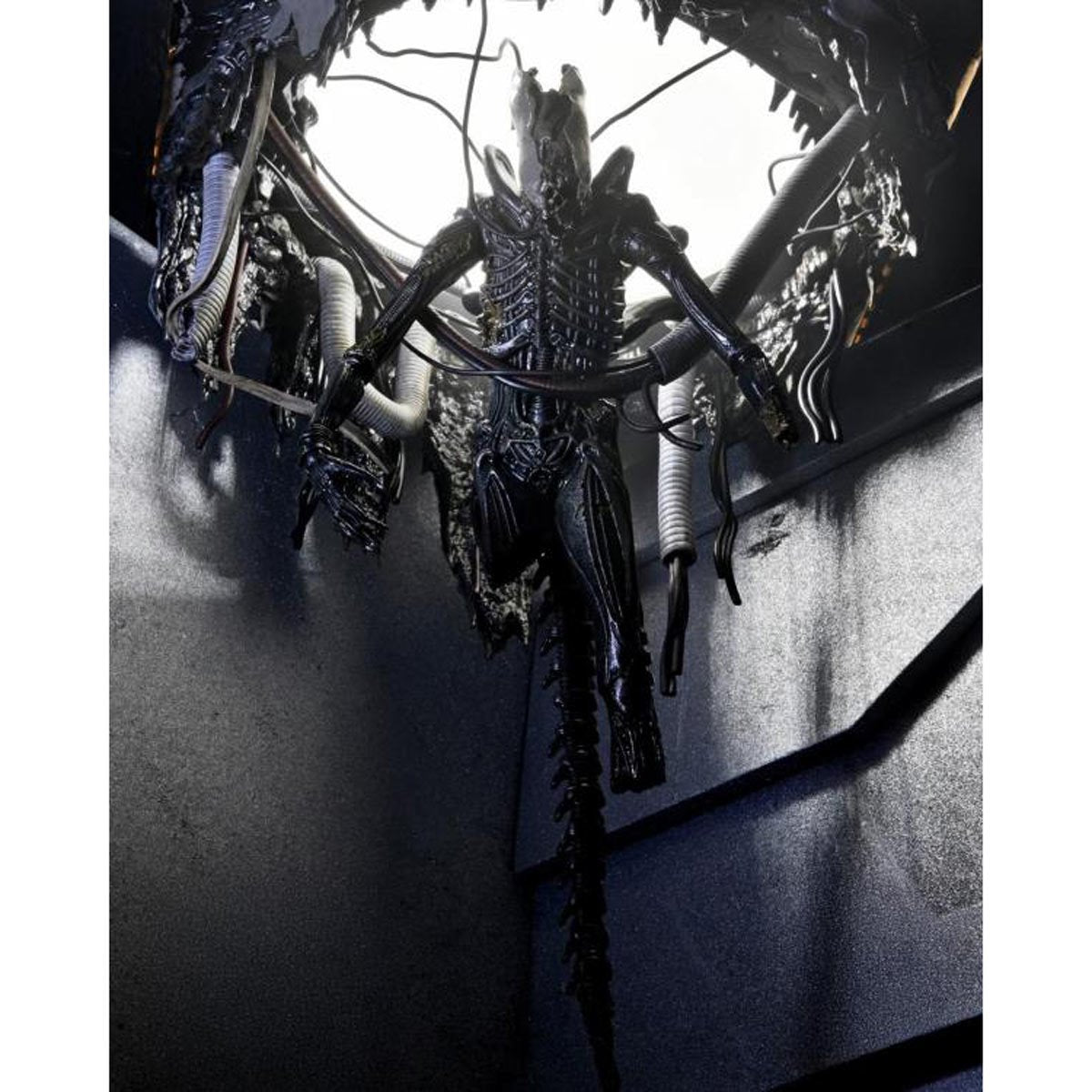 Alien: Romulus Suspended Lab Xenomorph XX121 7-Inch Scale Deluxe Action Figure