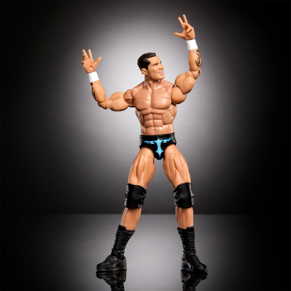 WWE Survivor Series Elite Action Figure Case of 5