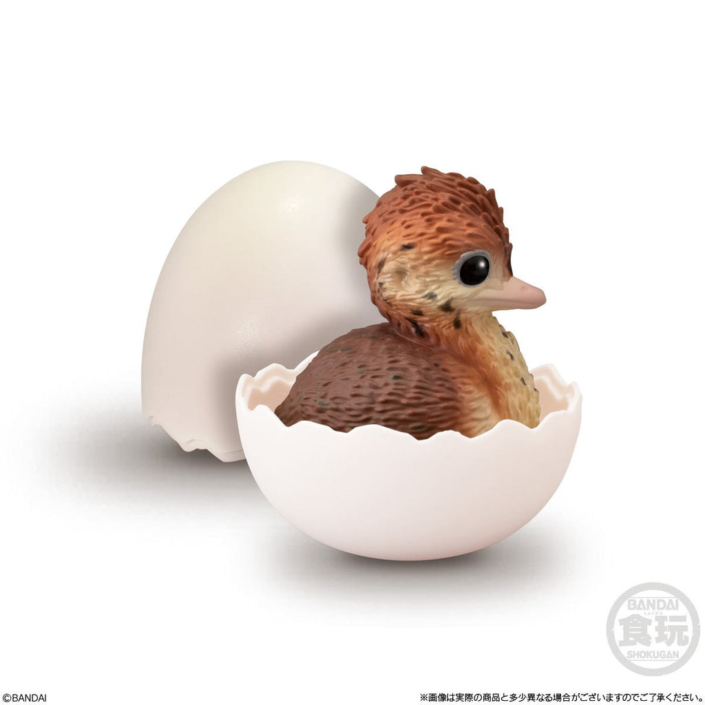 Birds Tenori Baby Friends Mini-Figure Case of 12 - Reissue