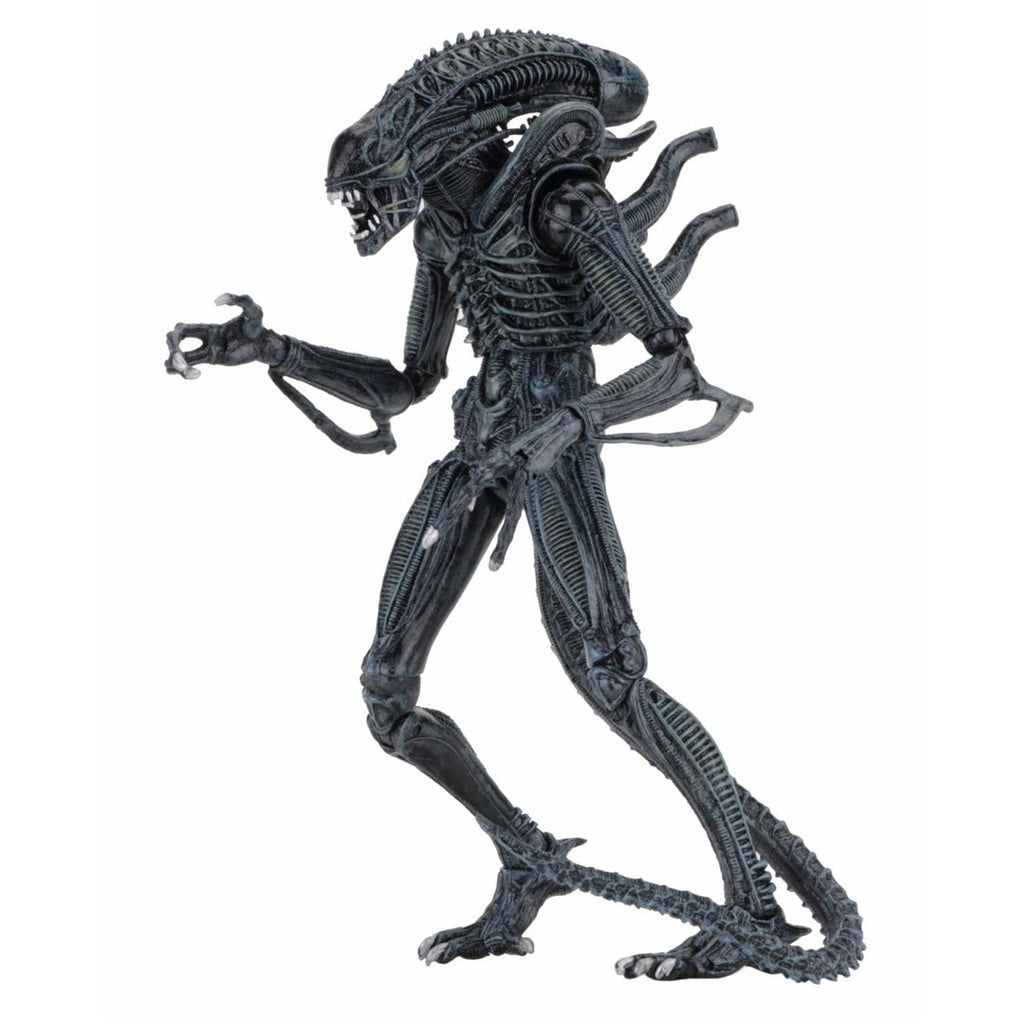 Aliens Ultimate Aliens Warrior (1986) Blue 7-Inch Scale Action Figure