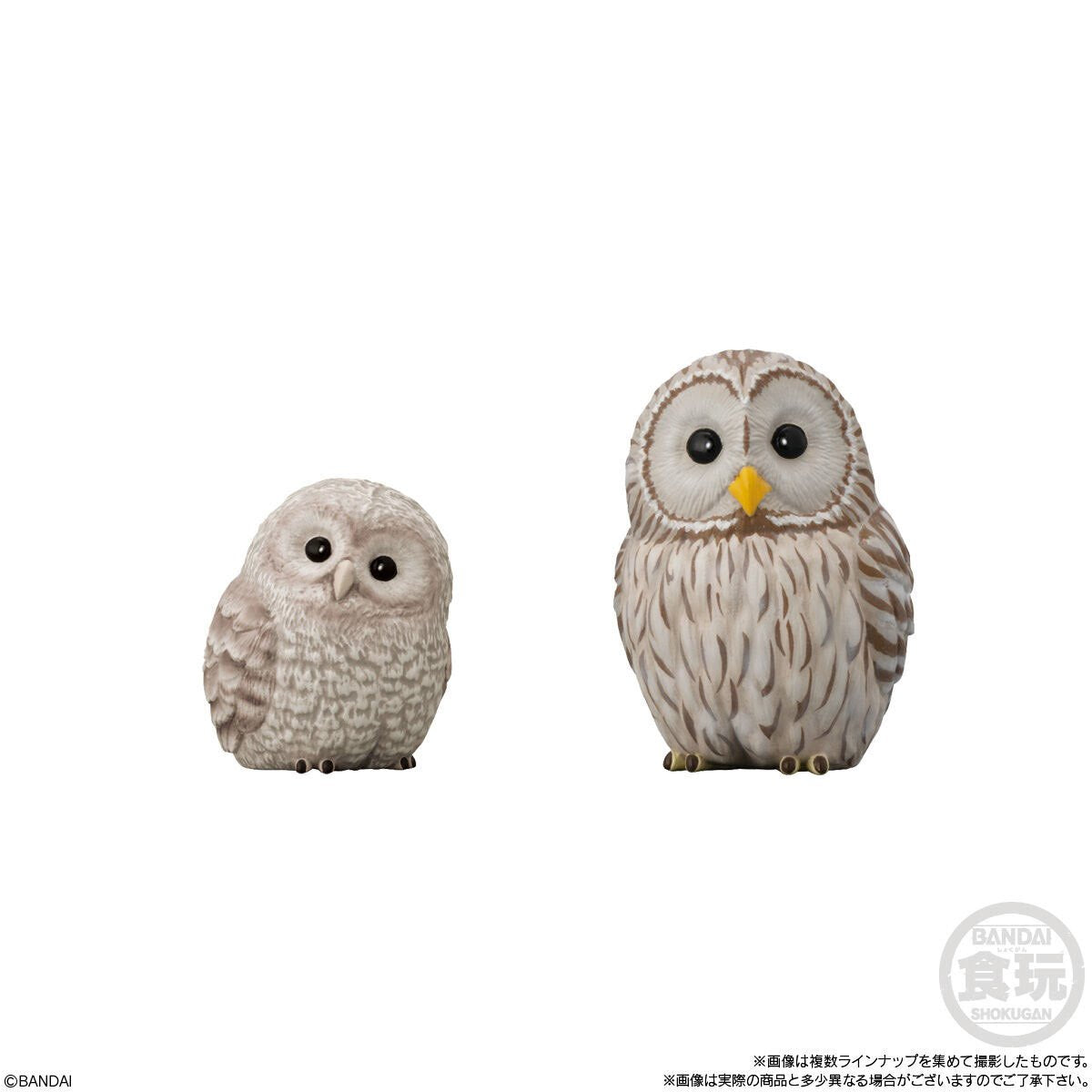 Birds Tenori Friends Series 7 Mini-Figure Case of 12