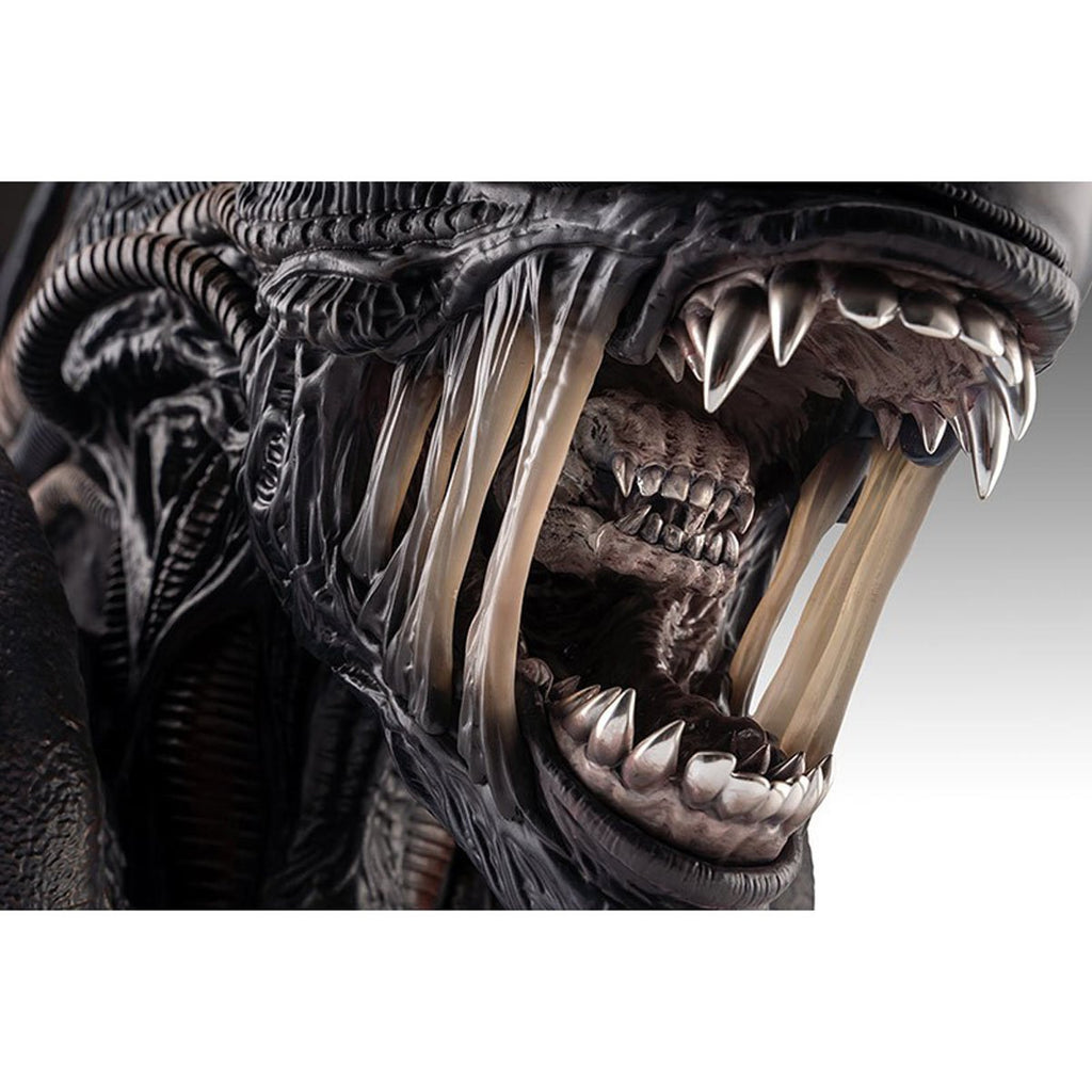 Alien Romulus Xenomorph 1:1 Scale Life-Size Bust