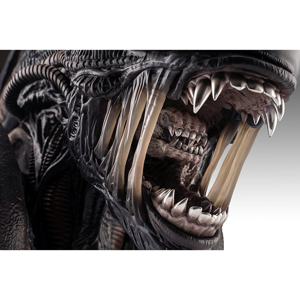 Alien Romulus Xenomorph 1:1 Scale Life-Size Bust