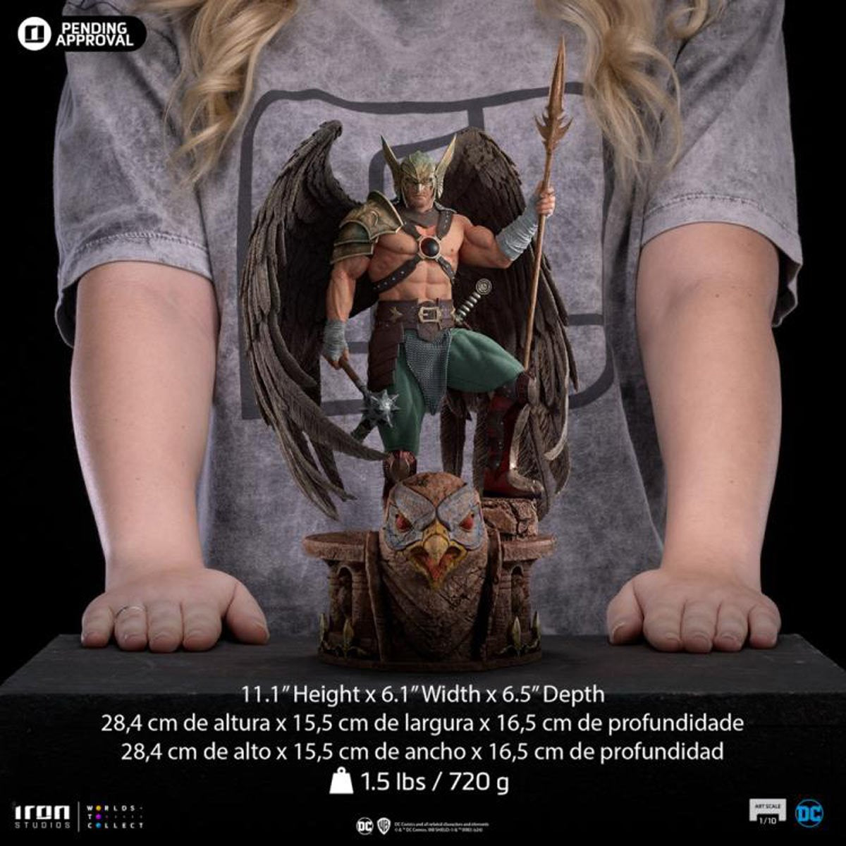 DC Comics Hawkman 10th Anniversary 1:10 Art Scale Limited Edition Statue