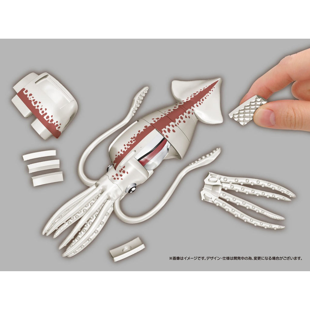 Squid Kaitai Puzzle