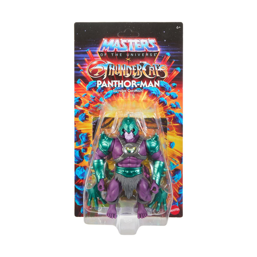 Masters of the Universe x Thundercats Wave 3 Action Figure Case of 4