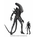 Alien Big Chap 1:4 Scale Action Figure