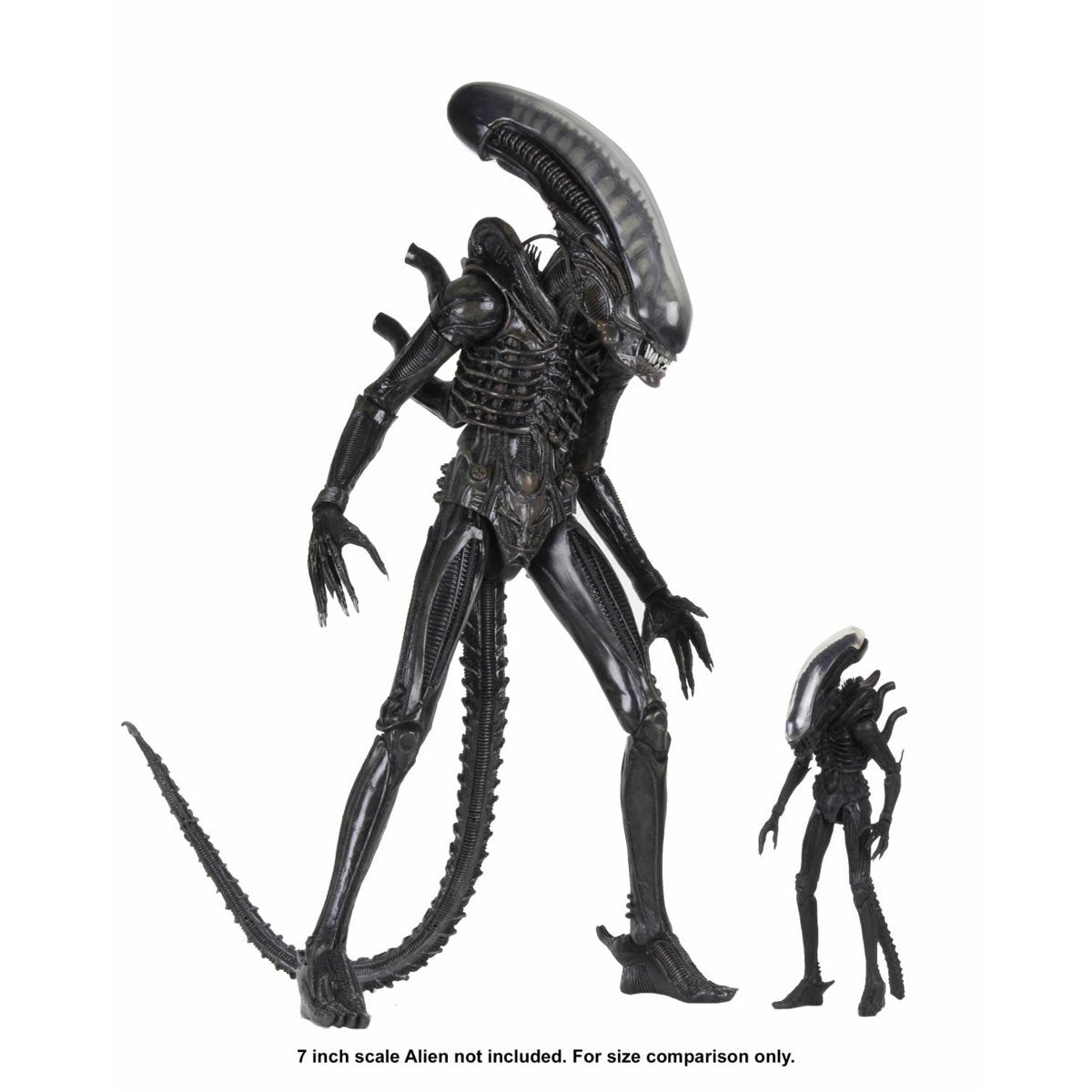 Alien Big Chap 1:4 Scale Action Figure
