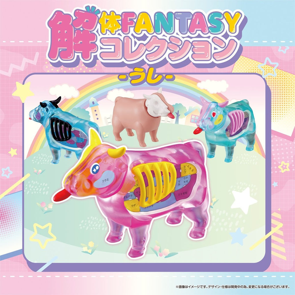 Clear Cow Collection Katai Fantasy Puzzle Case of 4