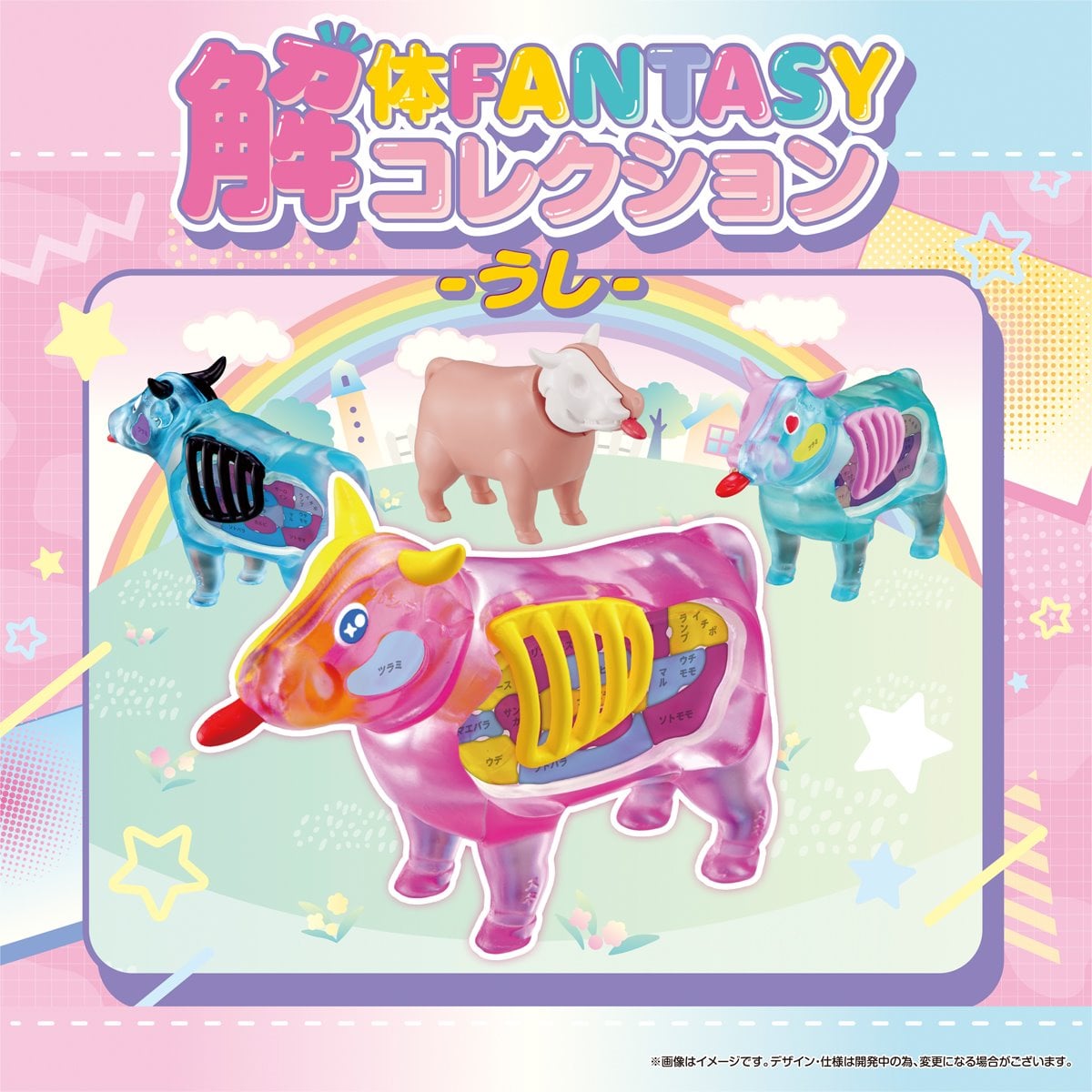 Clear Cow Collection Katai Fantasy Puzzle Case of 4