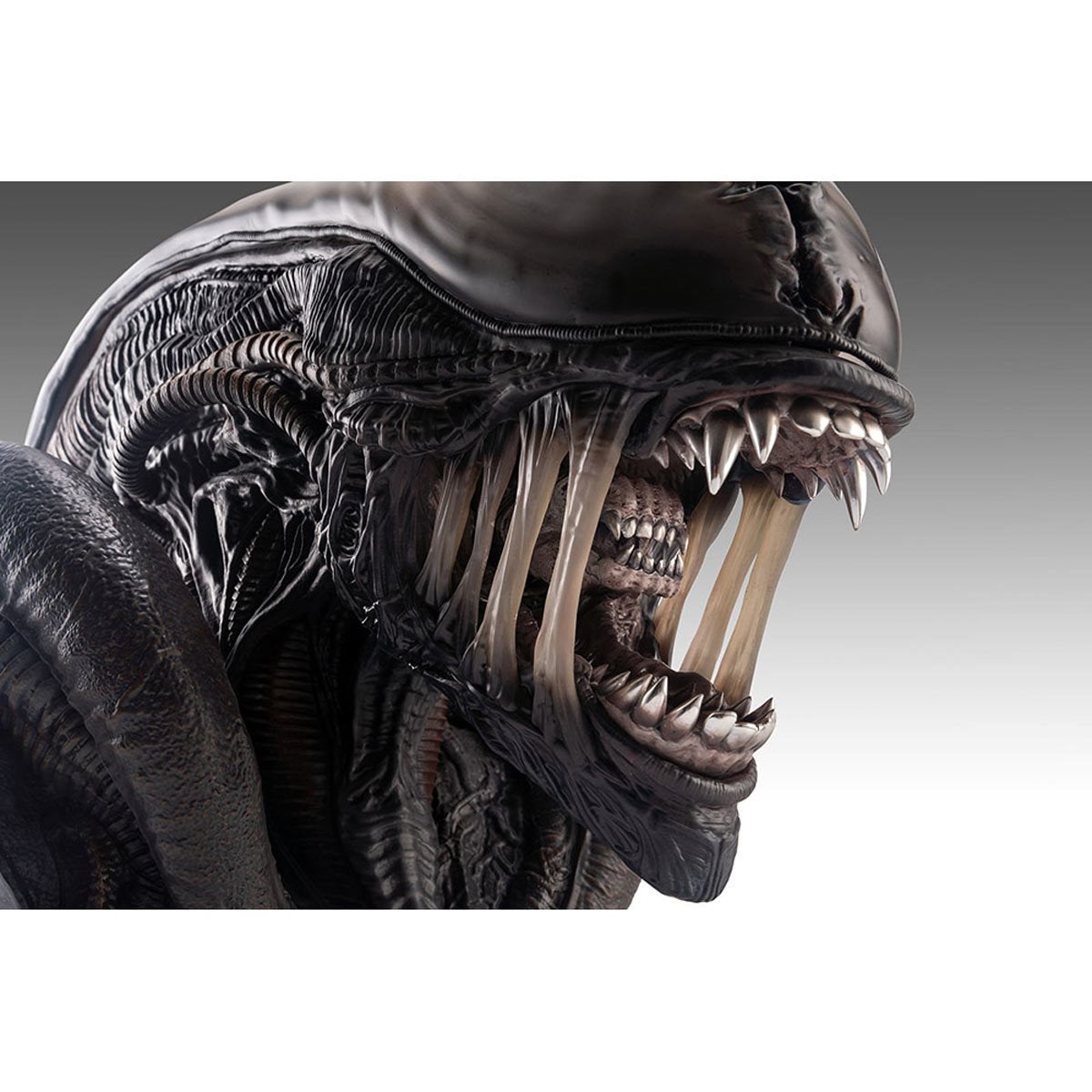 Alien Romulus Xenomorph 1:1 Scale Life-Size Bust