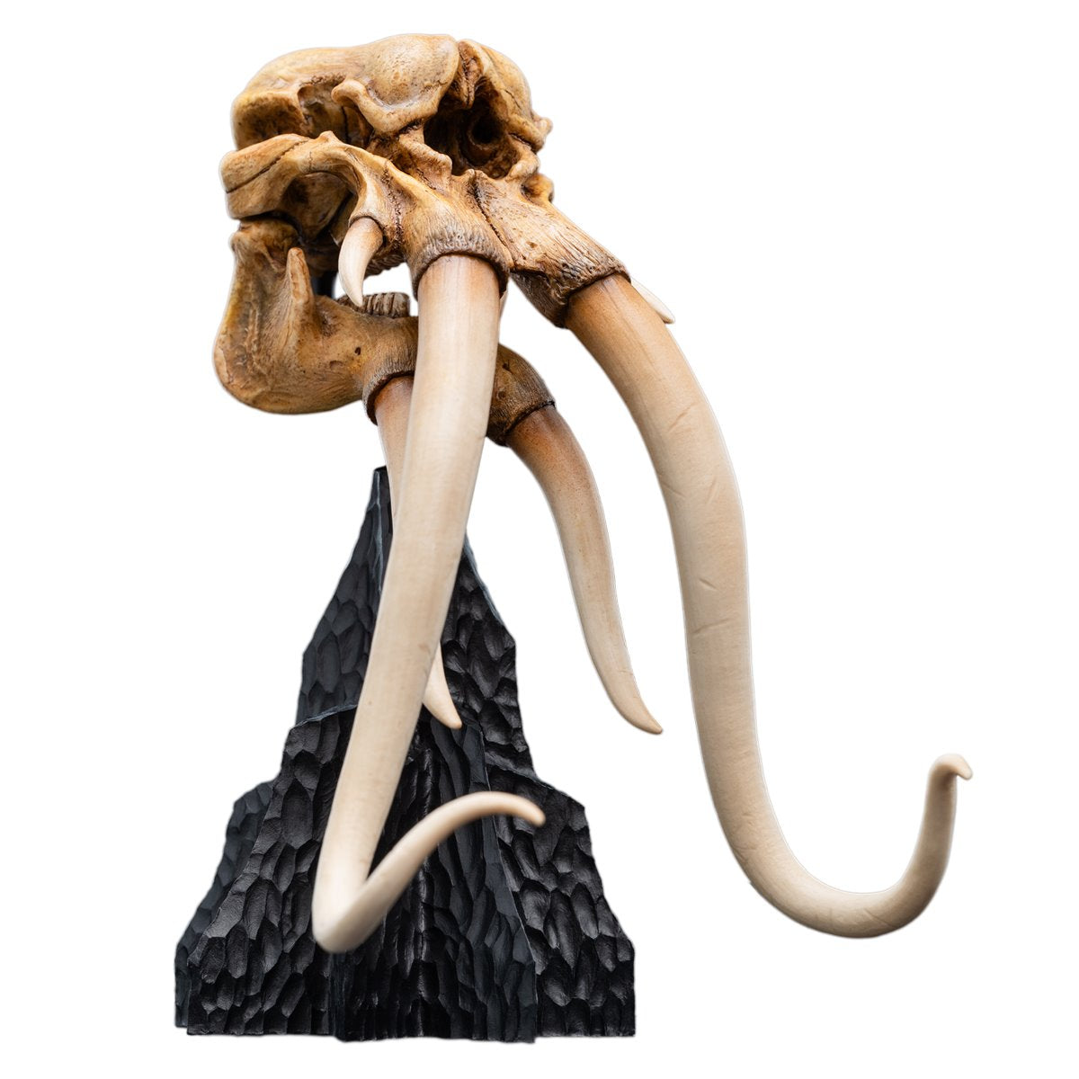The Lord of the Rings Trilogy Skull of a Mumak Statue