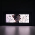 Demon Slayer Shinobu LED Light Box