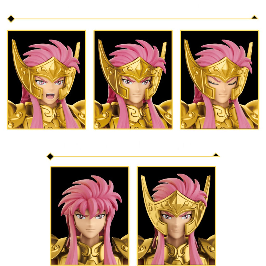 Saint Seiya Champion Class Aquarius Camus CC08 Blokees Model Kit