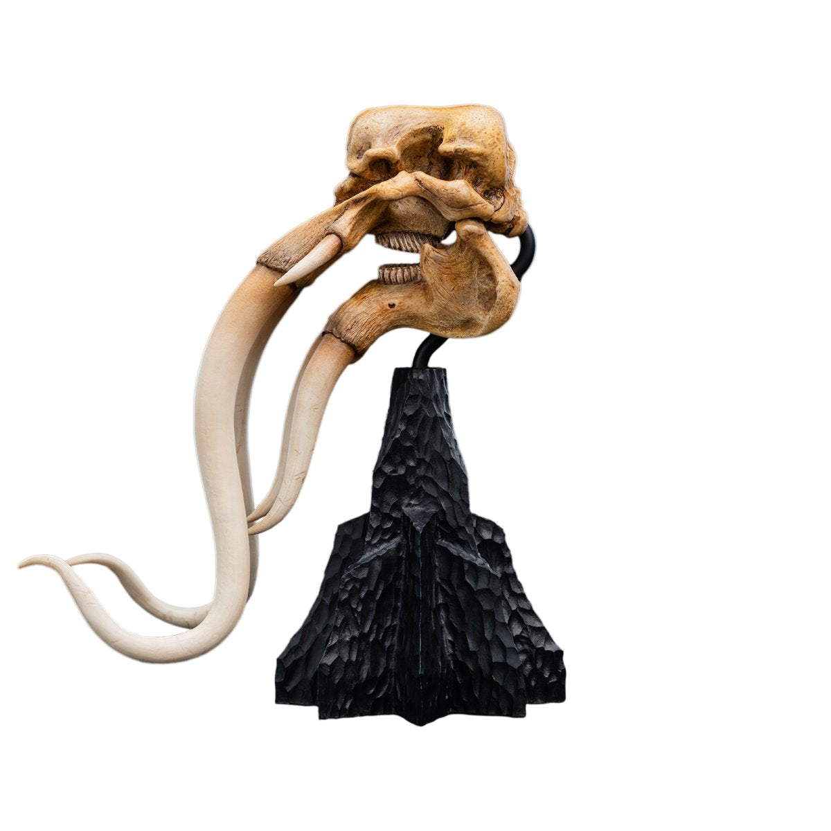 The Lord of the Rings Trilogy Skull of a Mumak Statue