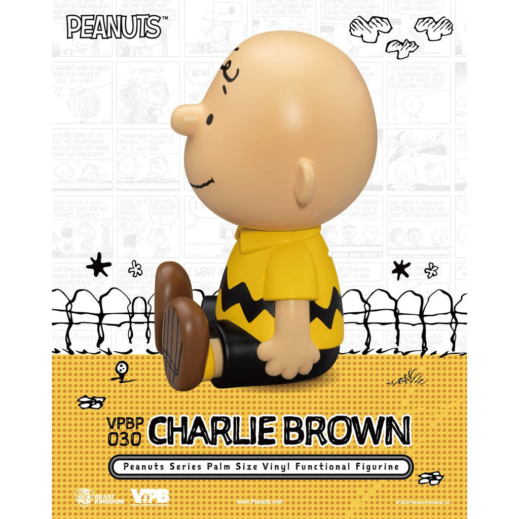 Peanuts Charlie Brown VPBP-030 Peanuts Series Palm Size Vinyl Functional Piggy Bank